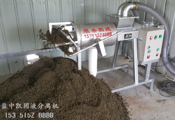 撸撸社在线观看