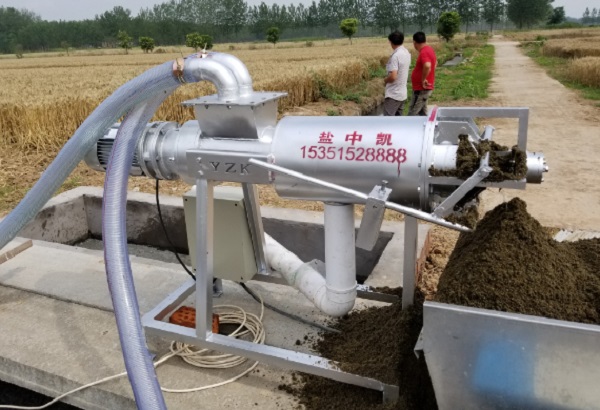 色撸撸视频在线播放机